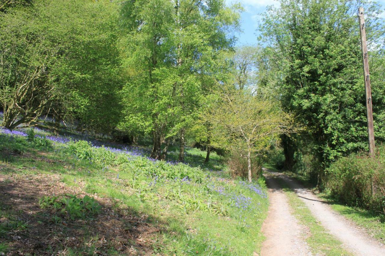 Church Hill Farm Μονμάουθ Εξωτερικό φωτογραφία